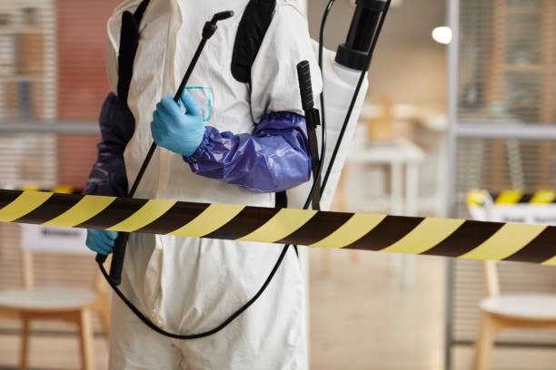 Professional Hoarding Cleanup technician working in Nova, OH